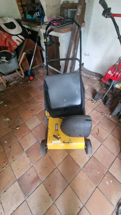 Scarificateur électrique 1600w (220v)