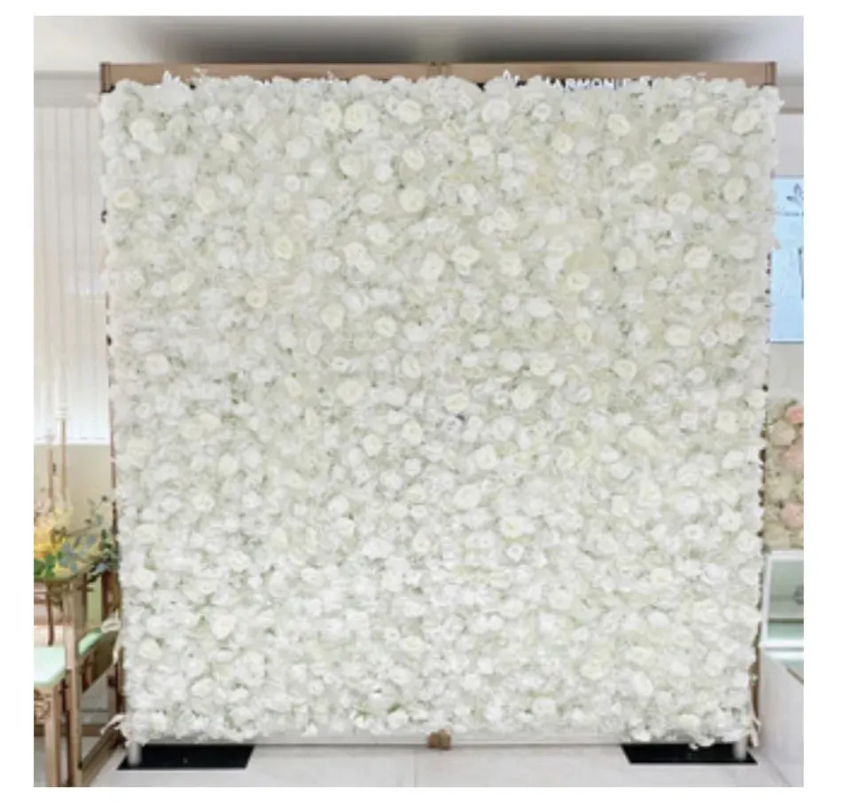 Backdrop – Photo 1