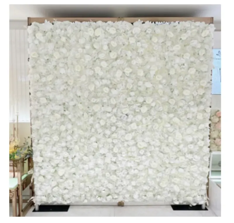 Backdrop – Photo 1