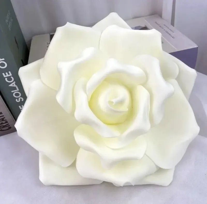 Fleurs géantes – Photo 1