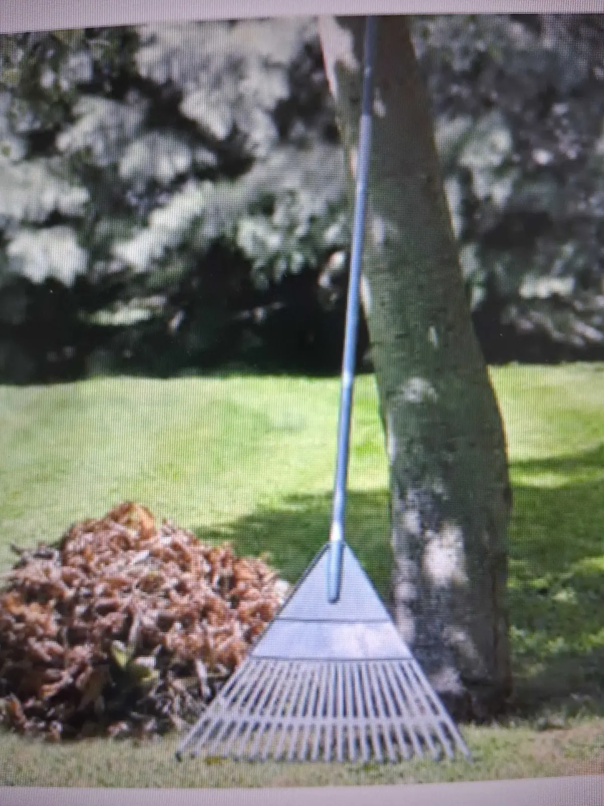 Balai jardin – Photo 1