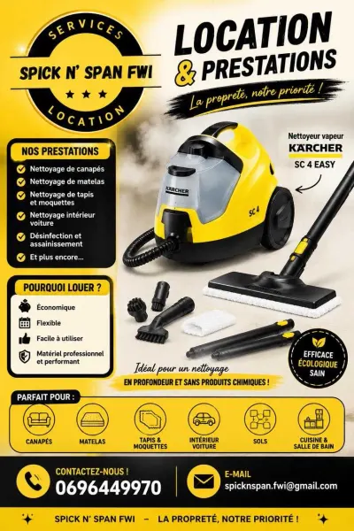 Nettoyeur vapeur
