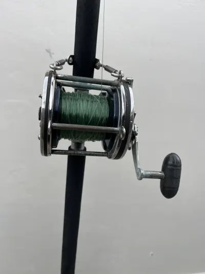 Canne à pêche traîne