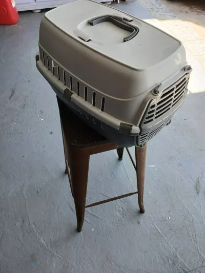 Caisse de transport pour chats ou petit chiens