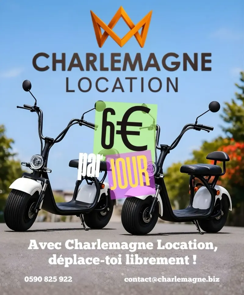 Scooteur électrique – Photo 1