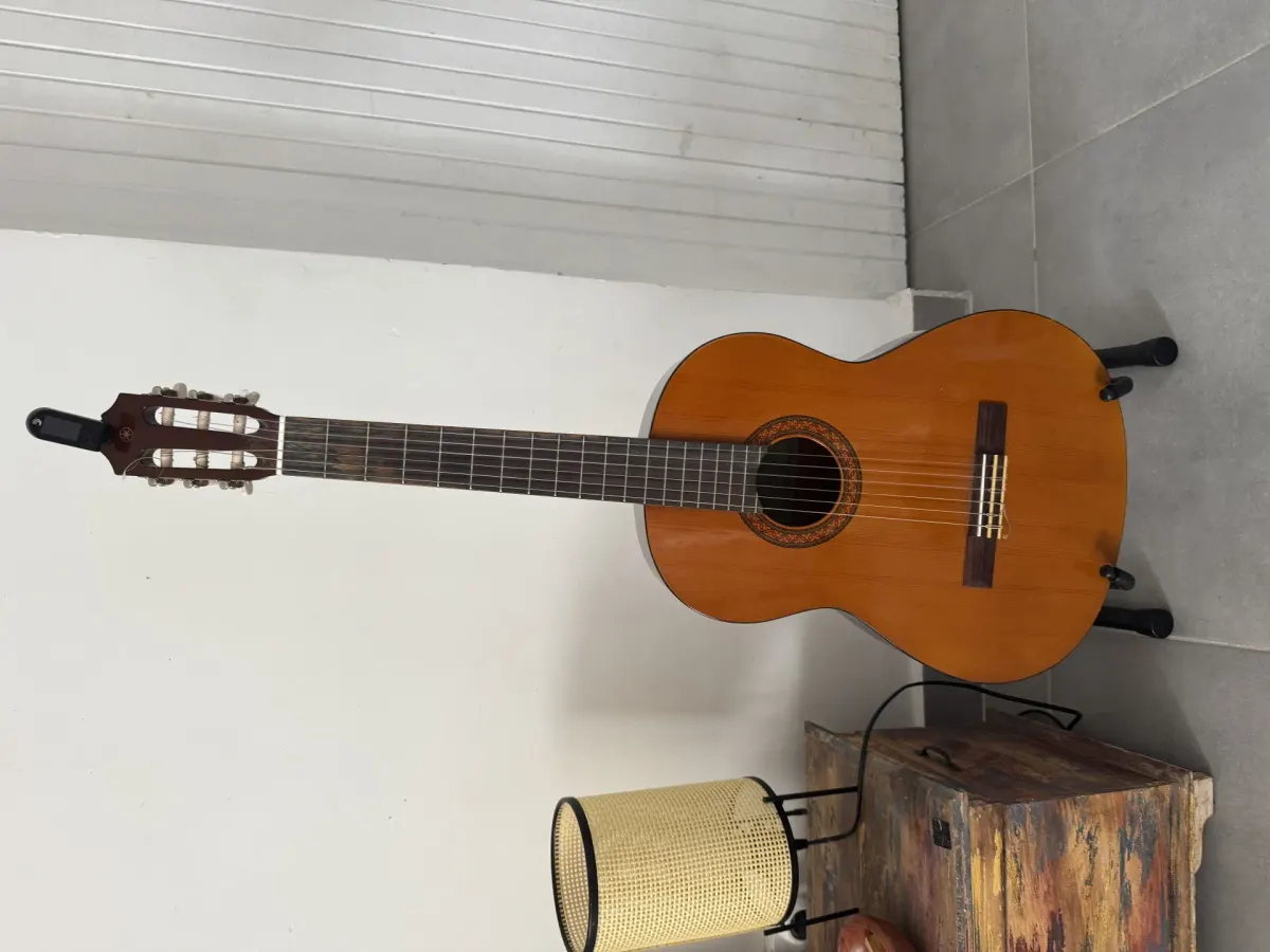 Guitare classique – Photo 1