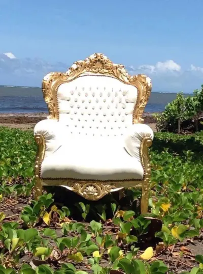 Fauteuils baroque blanc et doré